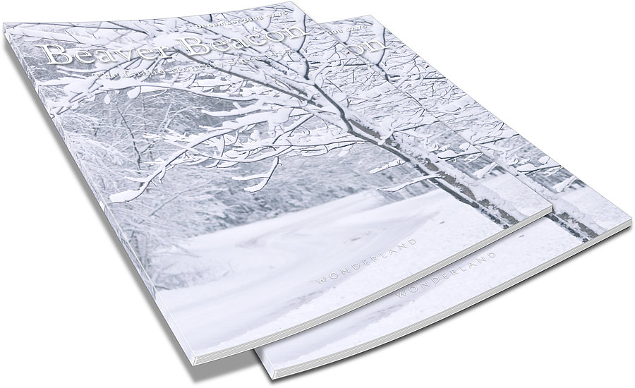 December 2008 Beaver Beacon Beaver Island News