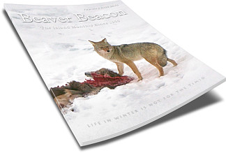 Beaver Beacon - the Island Monthly since 1955, Beaver Island Michigan