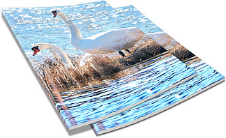 Beaver Beacon - the Island Monthly since 1955, Beaver Island Michigan