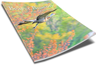 Beaver Beacon - the Island Monthly since 1955, Beaver Island Michigan