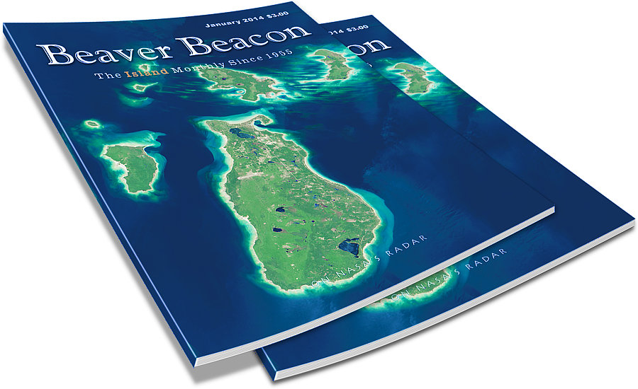 January 2014 Beaver Beacon Island News