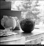 CMU Art Show 2002