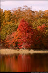 Fall Colors at Fox Lake
