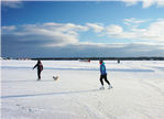 Skating on the Harbor